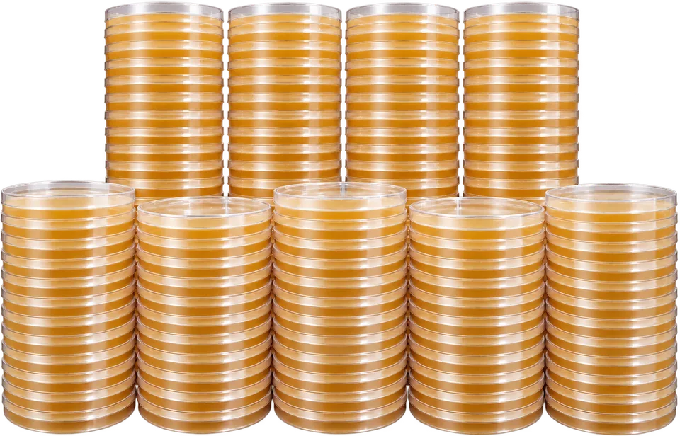 Pre Poured Low Nutrition Agar